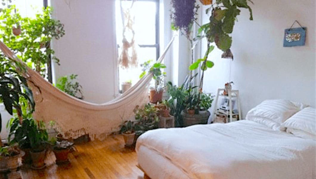 Le piante in camera da letto fanno male o fanno bene? | Fabe